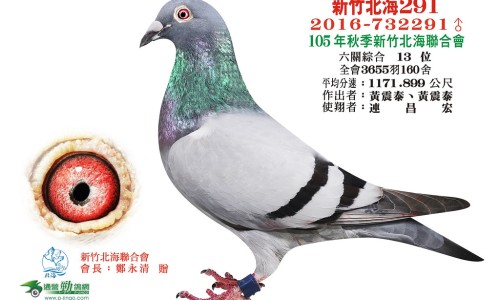 大黄功能主治和作用是什么-大黄的功能主治专区_酒蒸大黄的功能主治专区_大黄的功能主治网