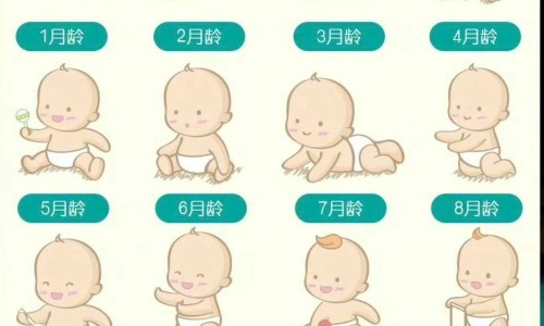 大黄的功能主治专区_酒蒸大黄的功能主治专区_大黄的功能主治网