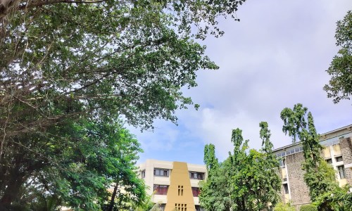酒蒸大黄的功能主治-大黄的功能主治专区_酒蒸大黄的功能主治专区_大黄的功能主治网